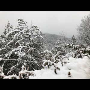 Meet your Posher, Tamera